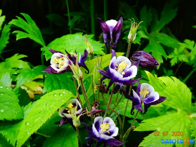 DSC02318

Просмотров: 445
Комментариев: 0