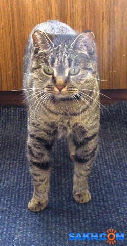 Нюся в гневе...

Просмотров: 327
Комментариев: 0