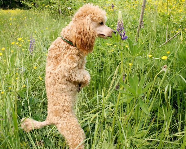 IMG_9348

Просмотров: 2394
Комментариев: 2