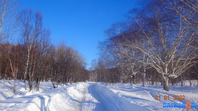 DSC08395

Просмотров: 401
Комментариев: 0