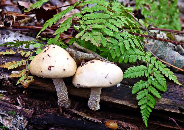 ***
Фотограф: Сергей Буркацкий

Просмотров: 1080
Комментариев: 0