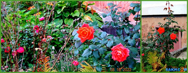 MyCollages

Просмотров: 462
Комментариев: 0
