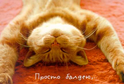 Фото 1

Просмотров: 1093
Комментариев: 0