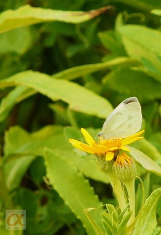 ***
Фотограф: Сергей Буркацкий

Просмотров: 813
Комментариев: 0