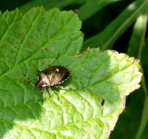 DSC00123
Фотограф: Сергей Буркацкий

Просмотров: 336
Комментариев: 0