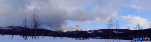 DSC09521