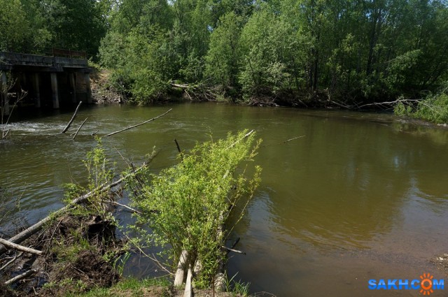 DSC09252
Фотограф: vikirin

Просмотров: 1728
Комментариев: 0