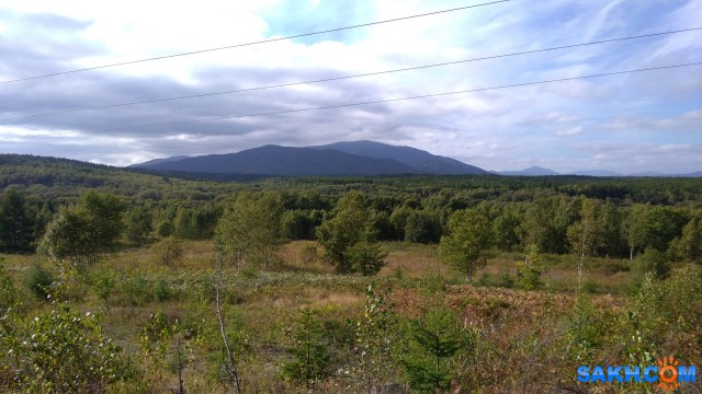 P_20200915_163740

Просмотров: 371
Комментариев: 0