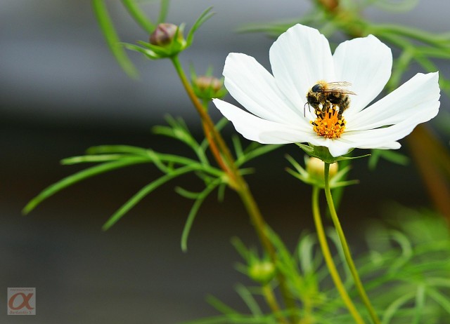 ***
Фотограф: Сергей Буркацкий

Просмотров: 767
Комментариев: 0