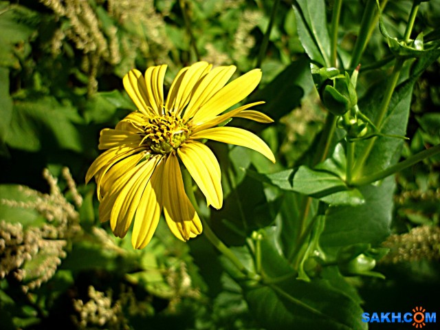 P1210818

Просмотров: 443
Комментариев: 0