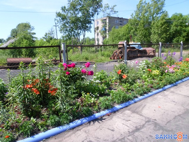 SAM_0035