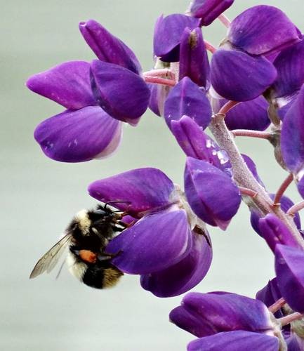 DSC00412
Фотограф: Сергей Буркацкий

Просмотров: 650
Комментариев: 0