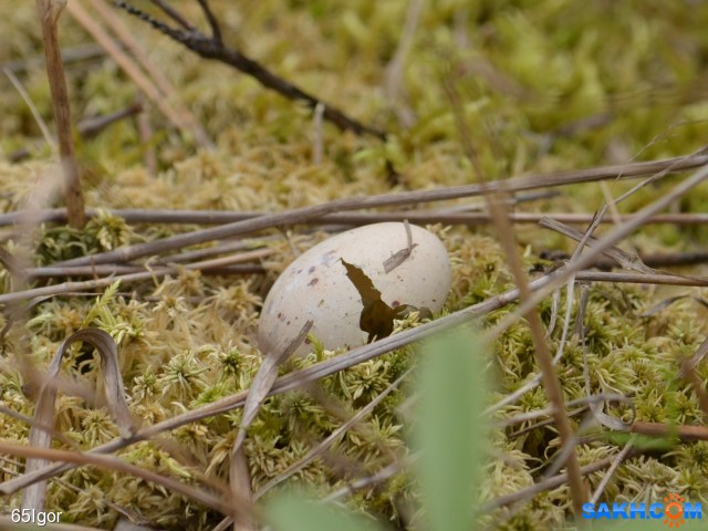 мышка бежала,,,,

Просмотров: 1051
Комментариев: 0