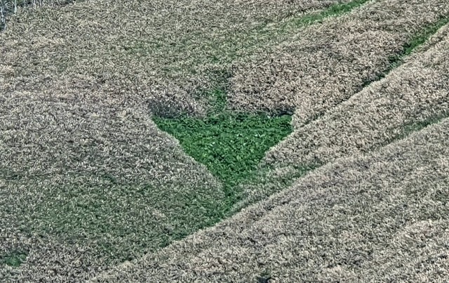 20190527_001145

Просмотров: 782
Комментариев: 0