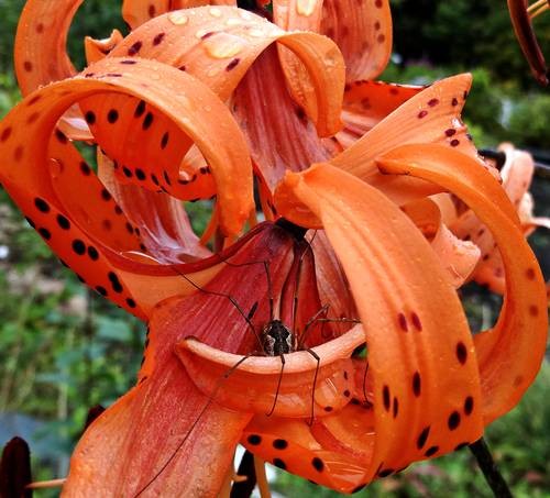 DSC03640
Фотограф: Сергей Буркацкий

Просмотров: 469
Комментариев: 0