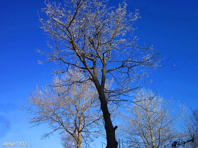 Деревья
Фотограф: alexei1903

Просмотров: 1720
Комментариев: 0