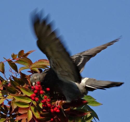 DSC04013
Фотограф: Сергей Буркацкий

Просмотров: 504
Комментариев: 0