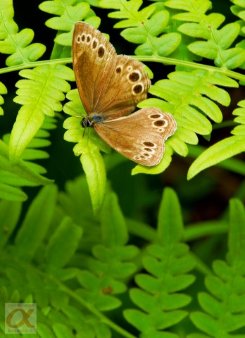 ***
Фотограф: Сергей Буркацкий

Просмотров: 797
Комментариев: 0