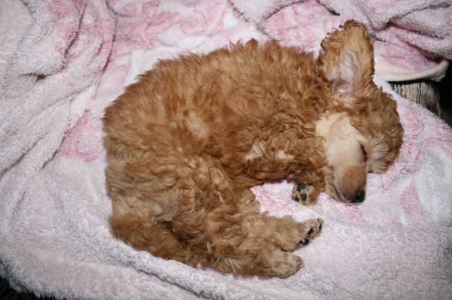 Фото 32

Просмотров: 2236
Комментариев: 3