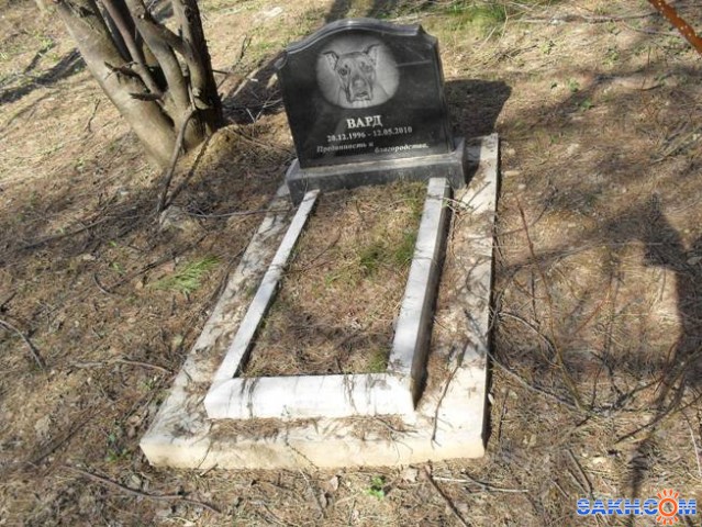 Одна из могил на собачье-кошачьем кладбище за 14-м микрорайоном

Просмотров: 2353
Комментариев: 0