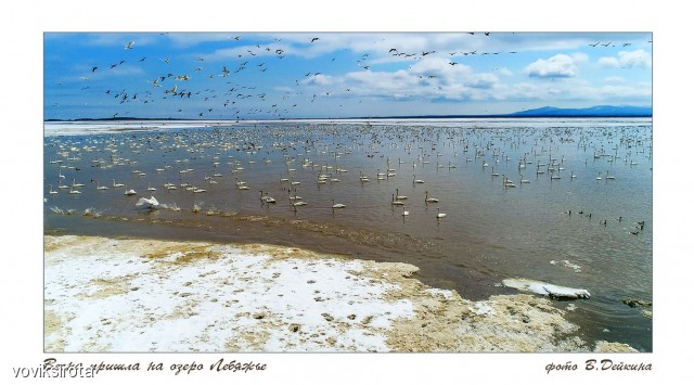 Пришла весна
Фотограф: В.Дейкин

Просмотров: 2876
Комментариев: 1