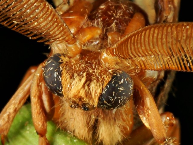 DSC02005
Фотограф: Сергей Буркацкий

Просмотров: 709
Комментариев: 1