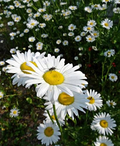 DSC00113
Фотограф: Сергей Буркацкий

Просмотров: 503
Комментариев: 0