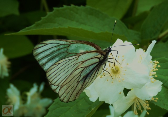 ***
Фотограф: Сергей Буркацкий

Просмотров: 781
Комментариев: 0