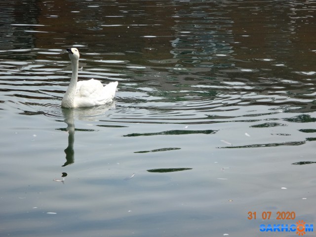 DSC03969

Просмотров: 545
Комментариев: 0