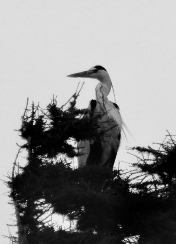 DSC04859
Фотограф: Сергей Буркацкий

Просмотров: 495
Комментариев: 0