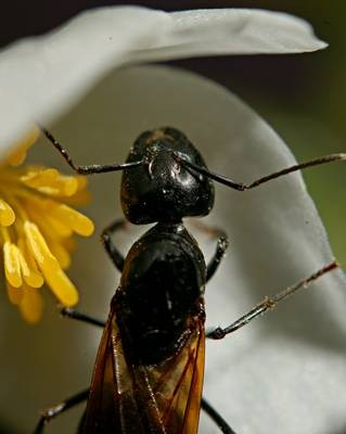 DSC05515
Фотограф: Сергей Буркацкий

Просмотров: 344
Комментариев: 0