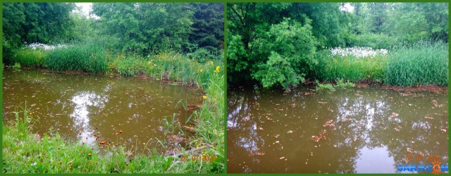 f793dde2-4342-4eef-bca0-246bc6584991

Просмотров: 502
Комментариев: 0