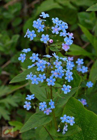 ***
Фотограф: Сергей Буркацкий

Просмотров: 1168
Комментариев: 0