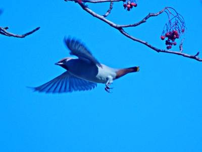 Фото 997
Фотограф: Сергей Буркацкий

Просмотров: 368
Комментариев: 0