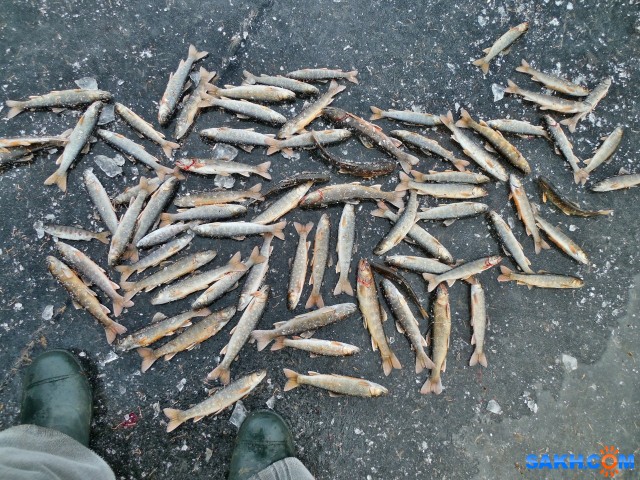 DSCN0983

Просмотров: 815
Комментариев: 1