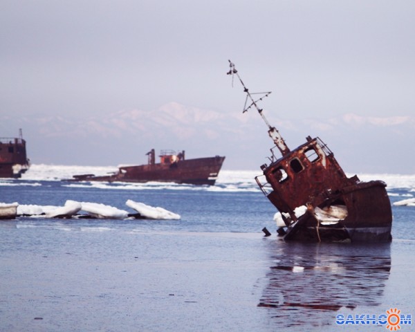 утро, море, чайки.
Фотограф: Фотохроник

Просмотров: 987
Комментариев: 2