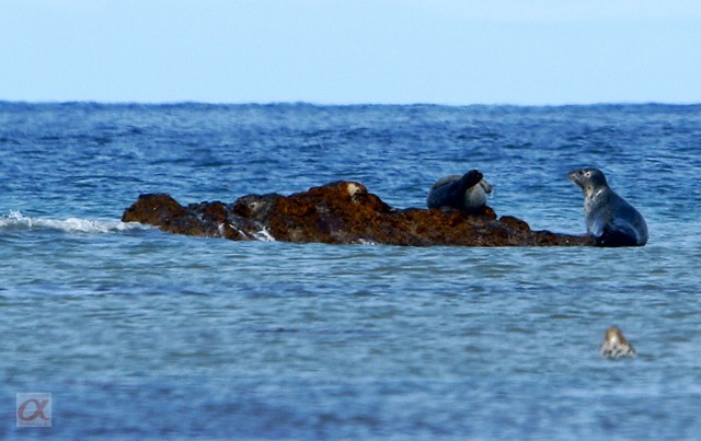 ***
Фотограф: Сергей Буркацкий

Просмотров: 1465
Комментариев: 0