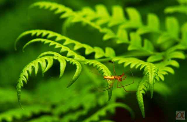 ***
Фотограф: Сергей Буркацкий

Просмотров: 914
Комментариев: 0