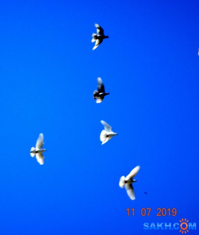 DSC00394
