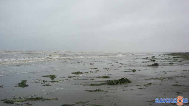 DSC06416

Просмотров: 4285
Комментариев: 0