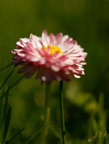 DSC05388
Фотограф: Сергей Буркацкий

Просмотров: 384
Комментариев: 0