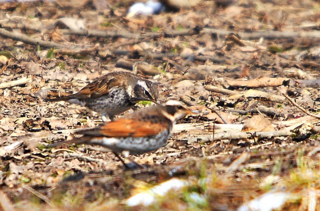 ***
Фотограф: Сергей Буркацкий

Просмотров: 1601
Комментариев: 0