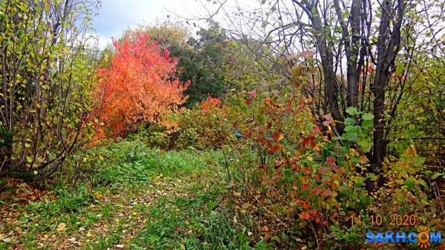 DSC08028

Просмотров: 471
Комментариев: 0