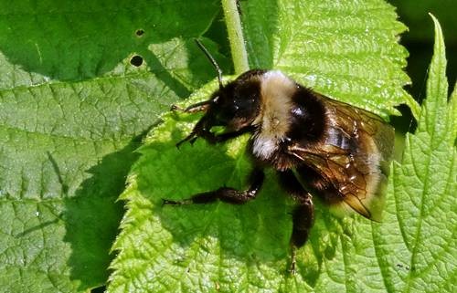 DSC00120
Фотограф: Сергей Буркацкий

Просмотров: 703
Комментариев: 0