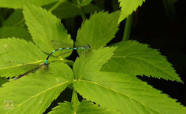 ***
Фотограф: Сергей Буркацкий

Просмотров: 750
Комментариев: 0