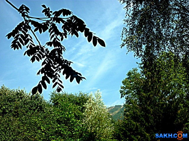 P1210832