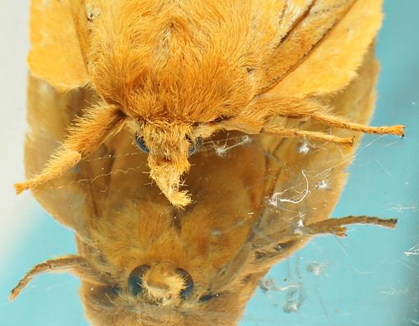 DSC02530
Фотограф: Сергей Буркацкий

Просмотров: 630
Комментариев: 0