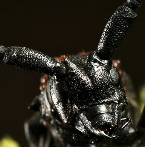 DSC01843
Фотограф: Сергей Буркацкий

Просмотров: 373
Комментариев: 0