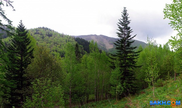 003-пан-к

Просмотров: 749
Комментариев: 0