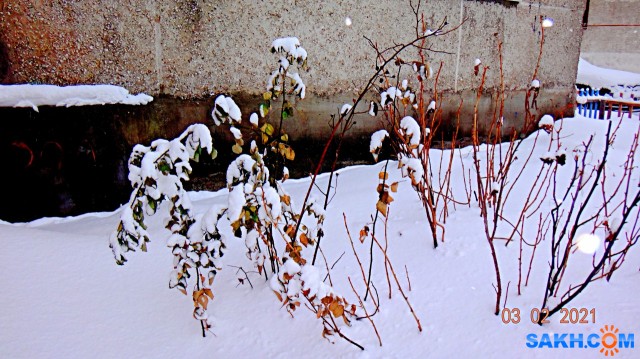 DSC09928

Просмотров: 438
Комментариев: 0